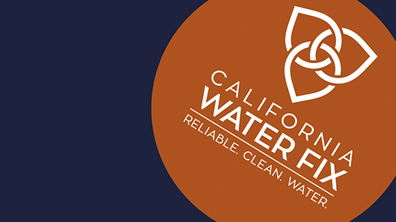 Metropolitan board votes to support California